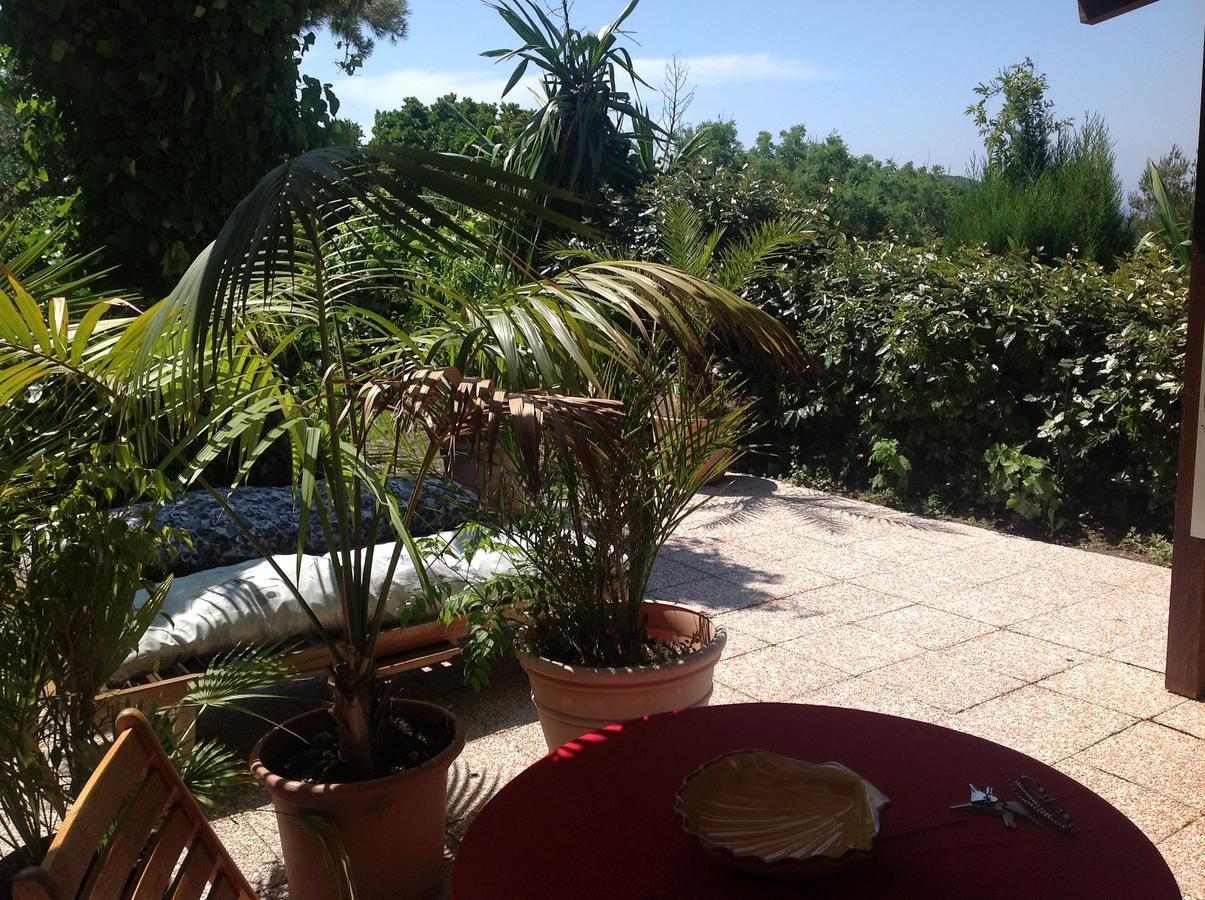 La Coccinelle Aparthotel Île du Levant Εξωτερικό φωτογραφία