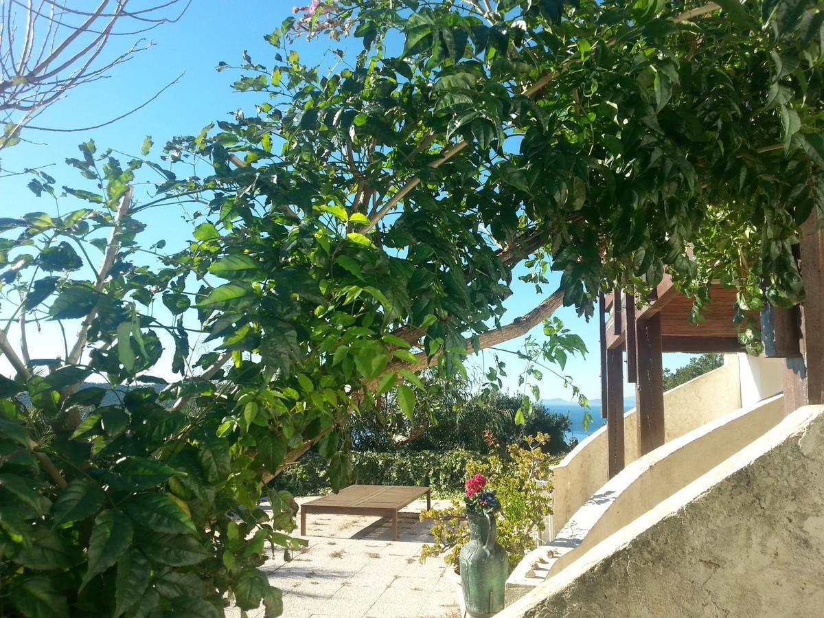 La Coccinelle Aparthotel Île du Levant Εξωτερικό φωτογραφία
